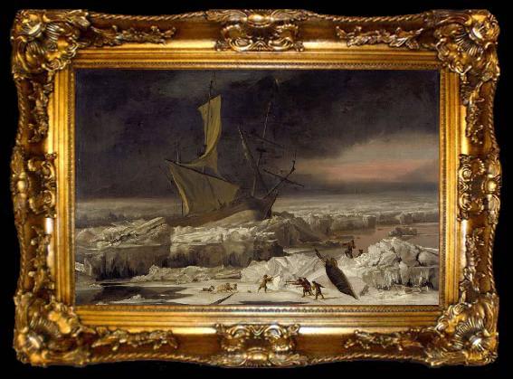 framed  Abraham Hondius Arctic Adventure, ta009-2